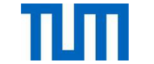 Logo of Technische Universitaet Muenchen (TUM)